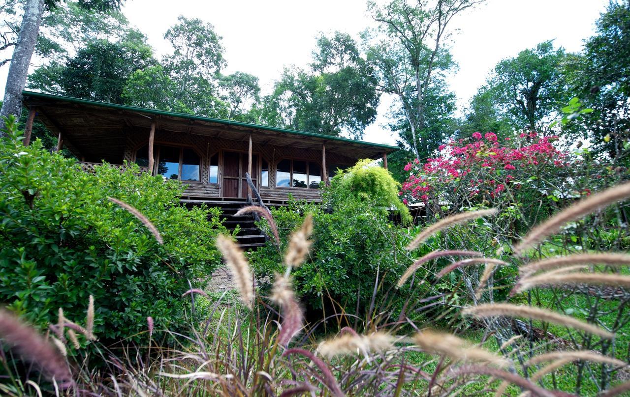 La Mision Mocona - Lodge De Selva Saltos del Moconá 객실 사진