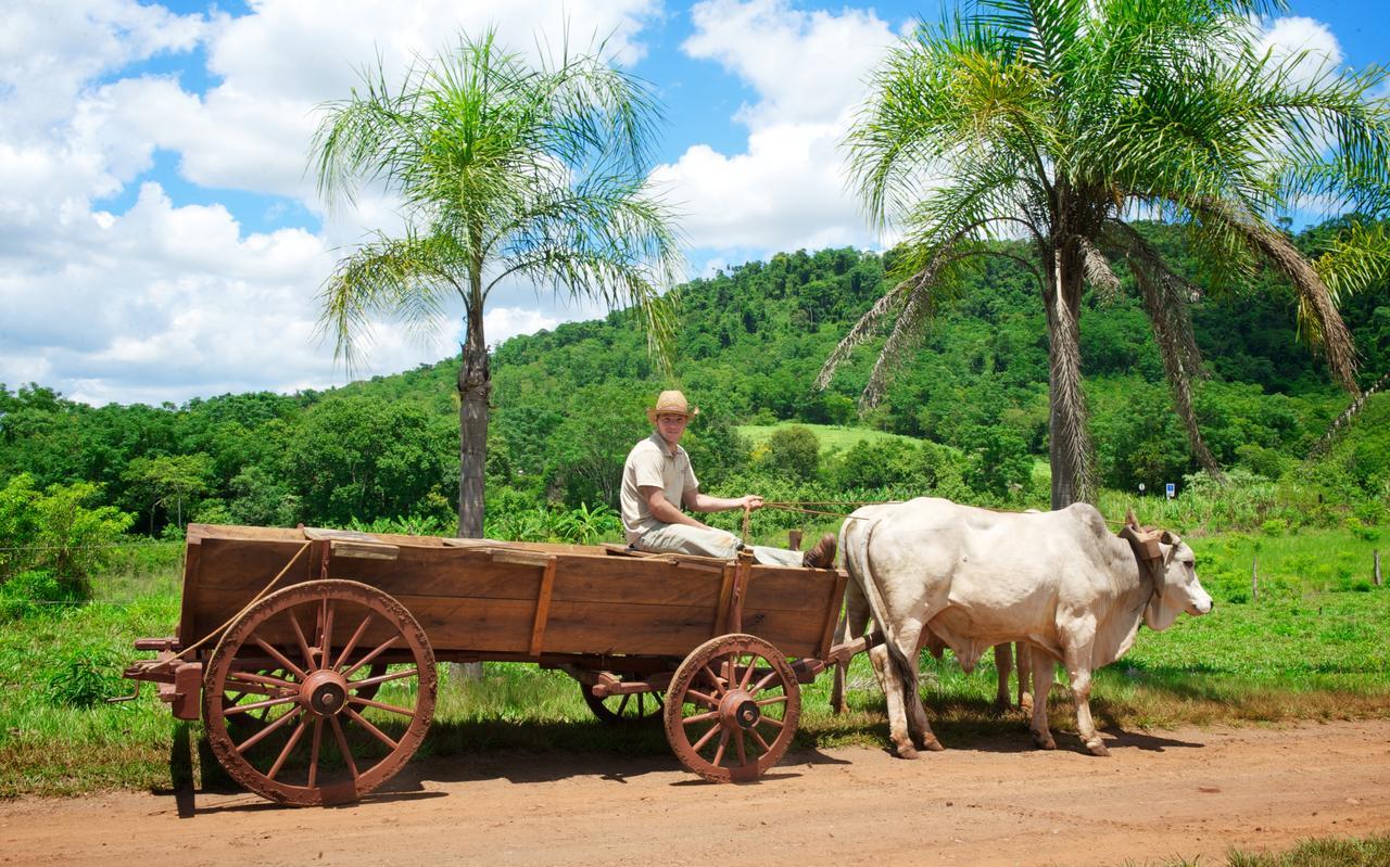 La Mision Mocona - Lodge De Selva Saltos del Moconá 외부 사진